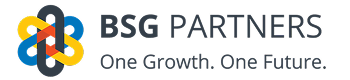 BSG Partners